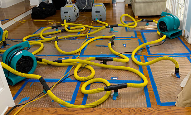Professional Basement Flood Cleanup technician working in Willow Grove, TX